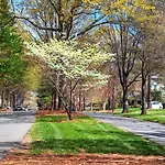 Myers Park Gem Great Location