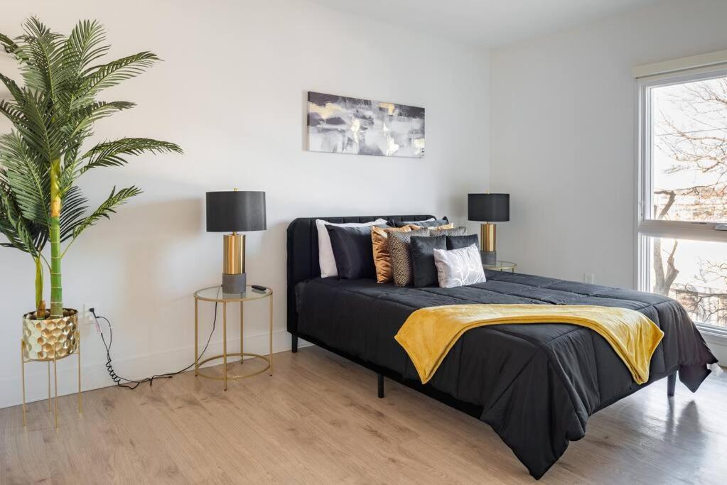 Luxurious & Comfy Downtown Oasis ~ Views ~ Parking Apartment