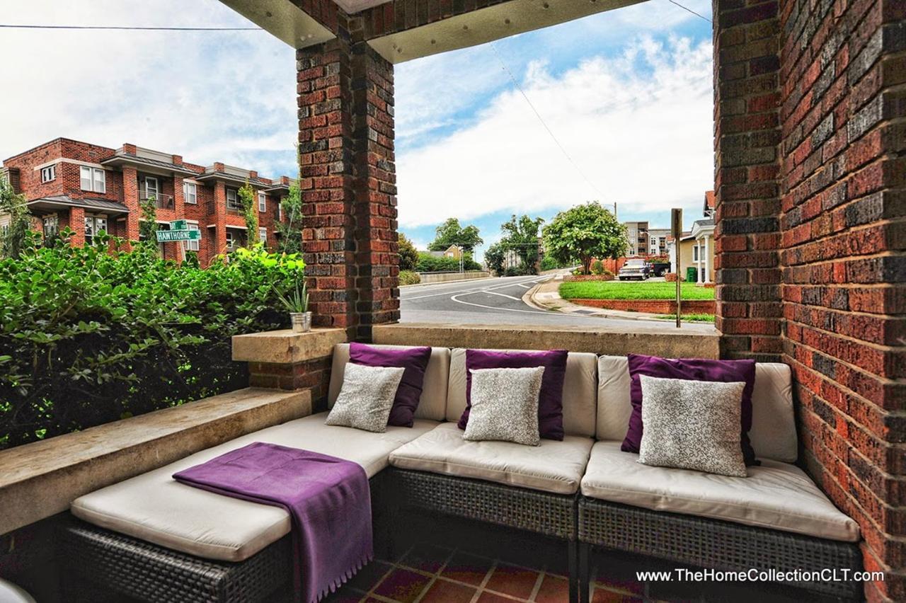 The Collection - Hawthorne Lane Charlotte