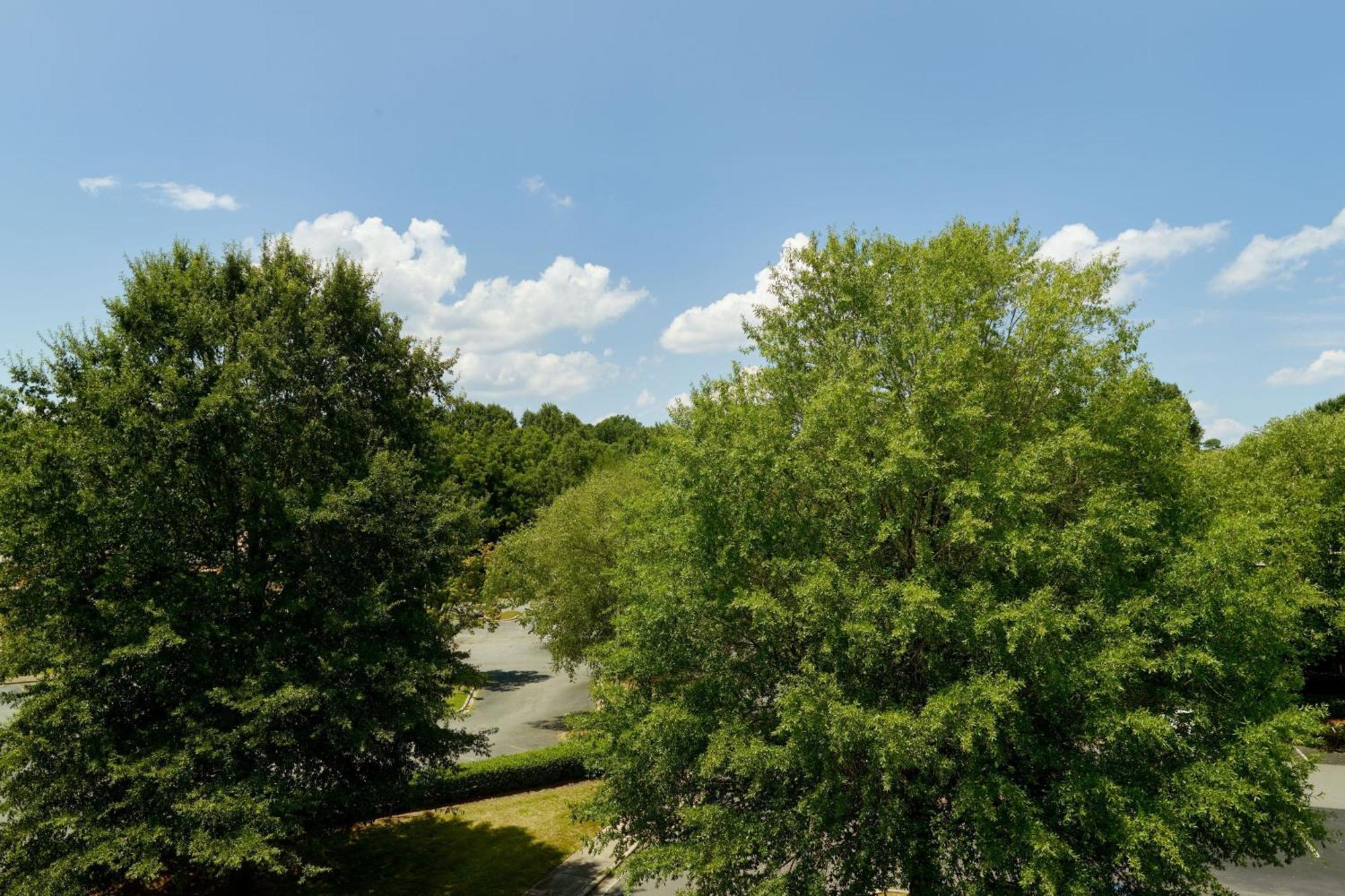 Springhill Research Park Hotel