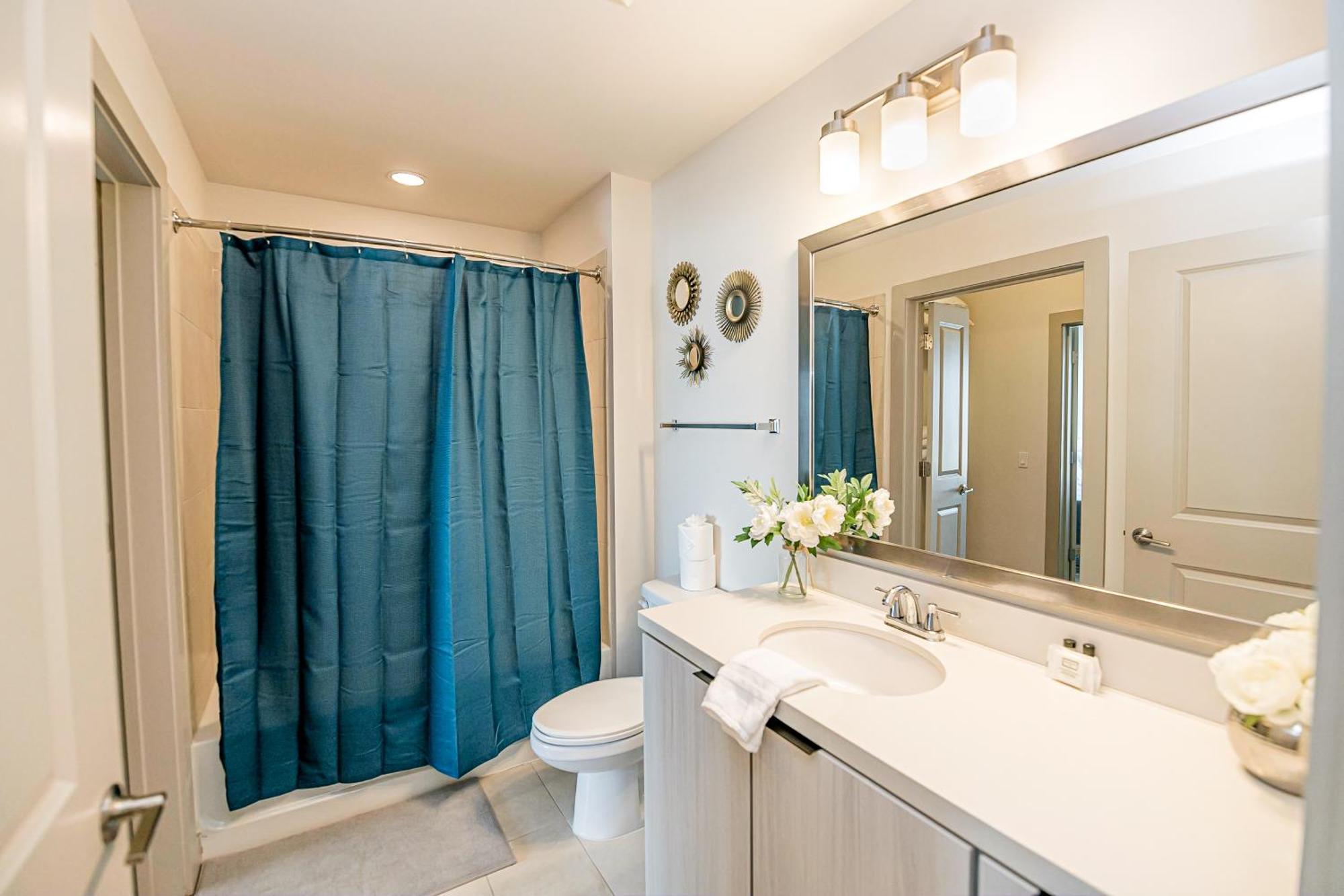 Uptown Furnished Near Boa Stadium Apts Apartment Charlotte