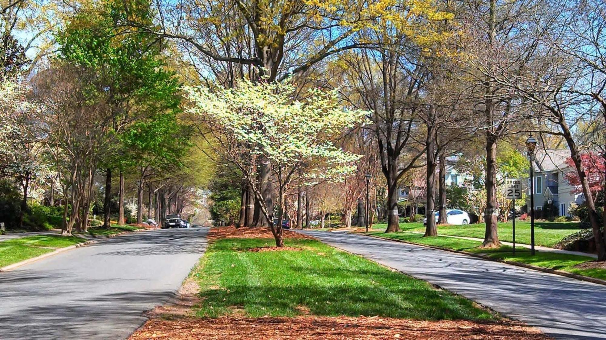 Stylish 1br In Myers Park Holiday home