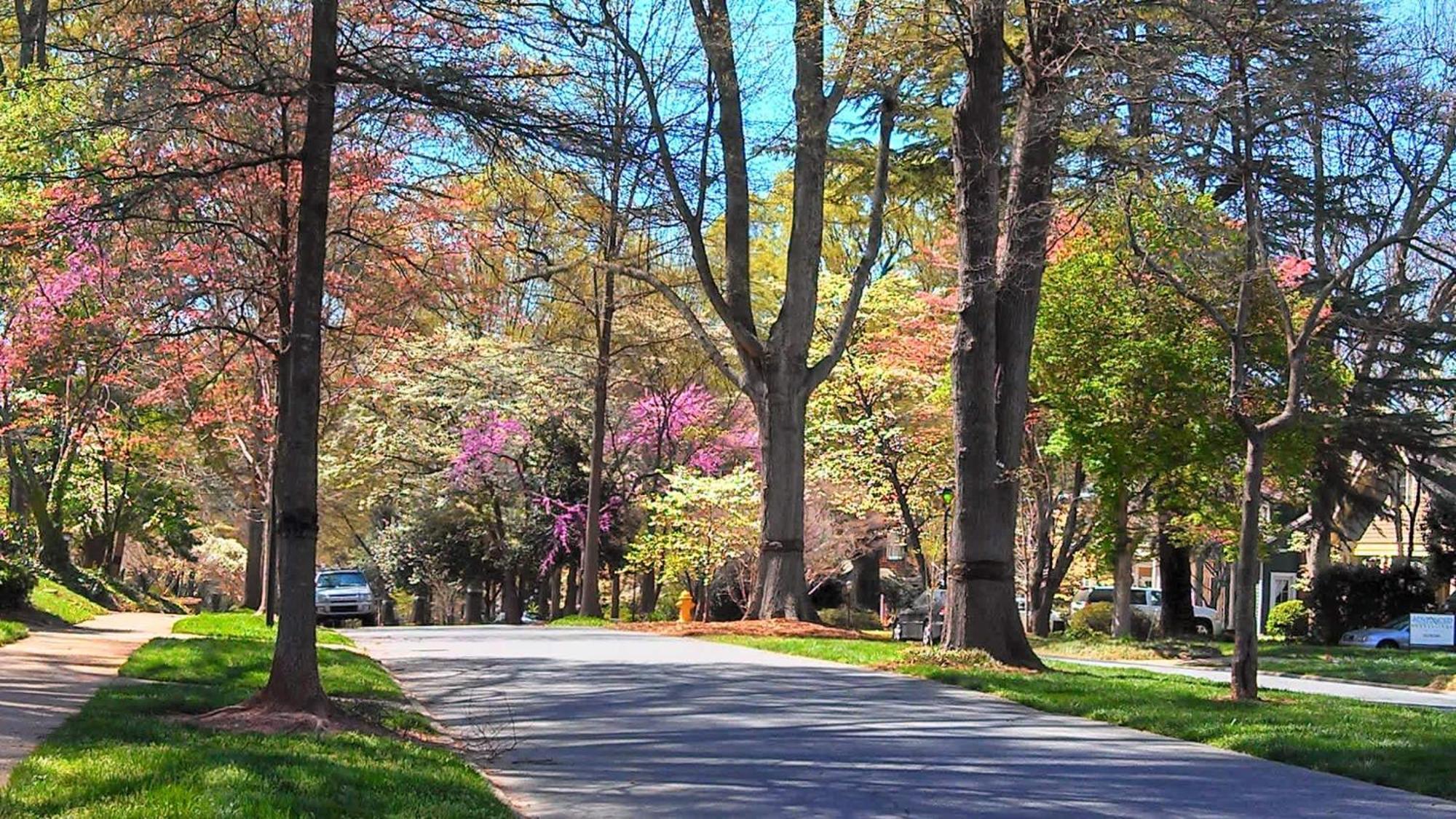 Holiday home Stylish 1br In Myers Park *