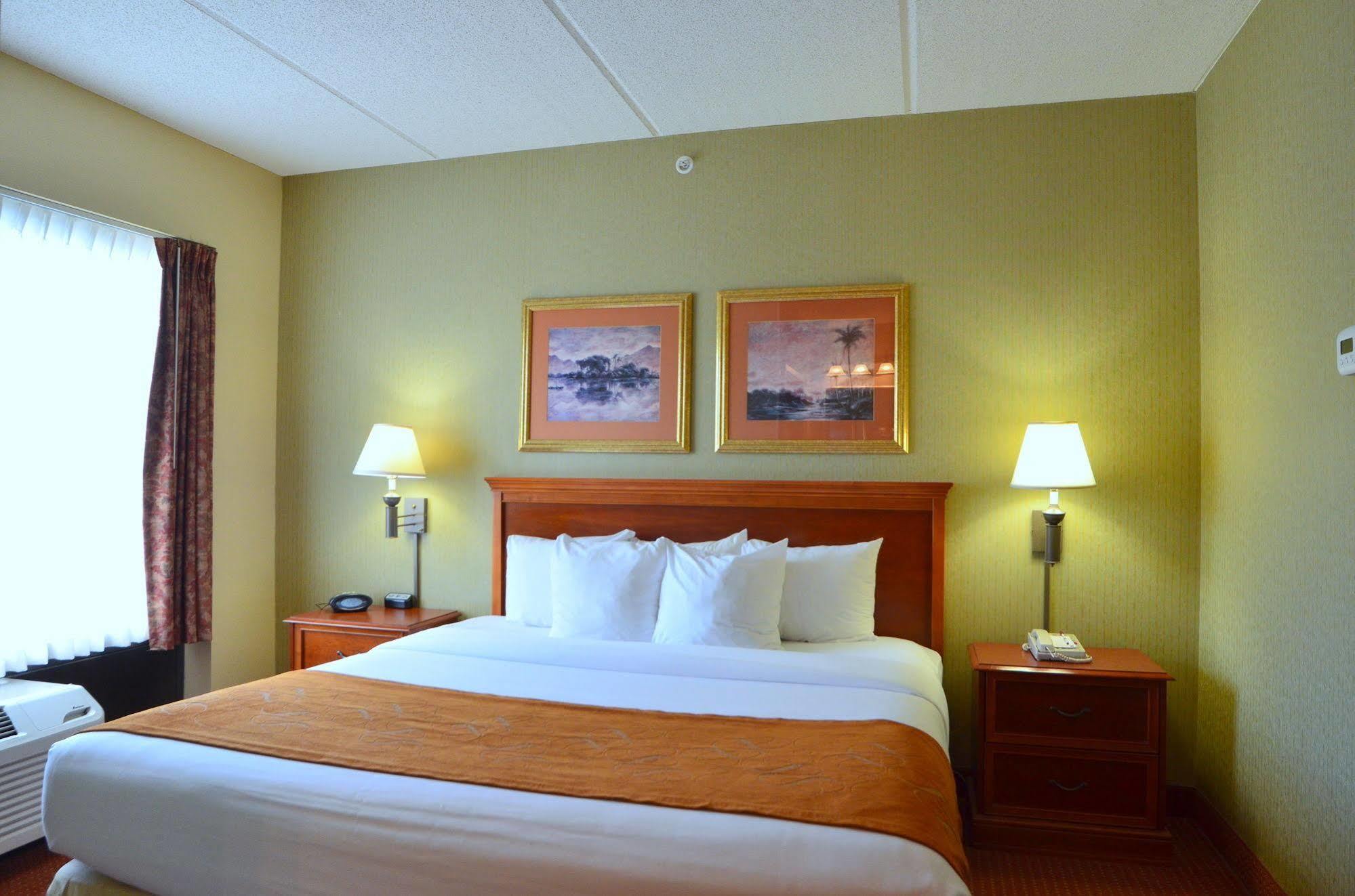 Comfort Northlake