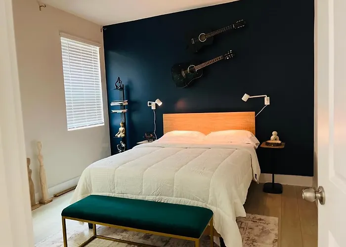 Charlotte Comfort Haven