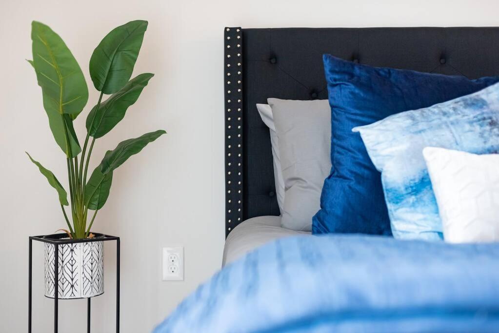 Serenity Luxe Stays Apartment Charlotte