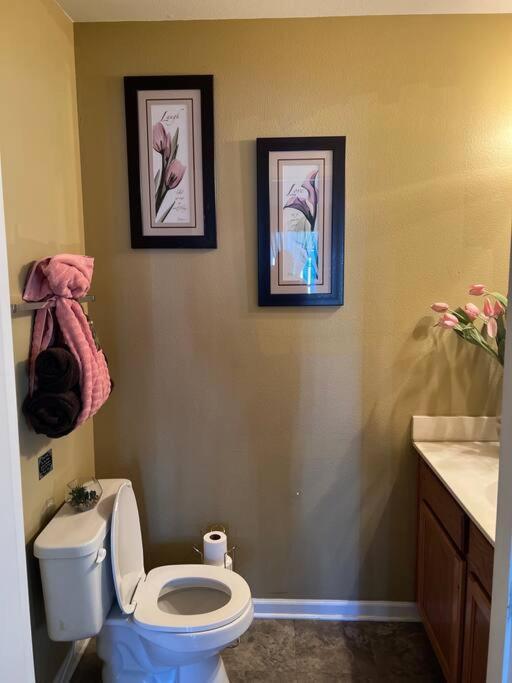 Cozy Away From Home! Apartment Charlotte