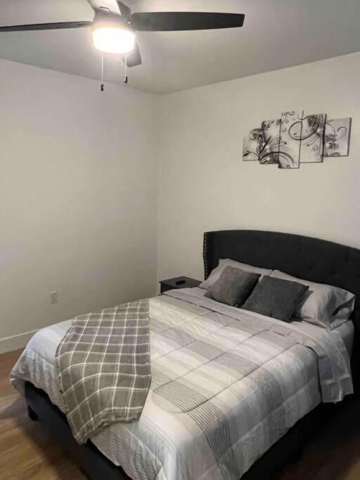 South Wanted Apartment Charlotte