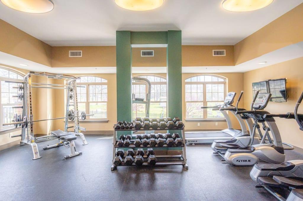 Urban 1br In Uptown Area With Gym And Balcony Apartment