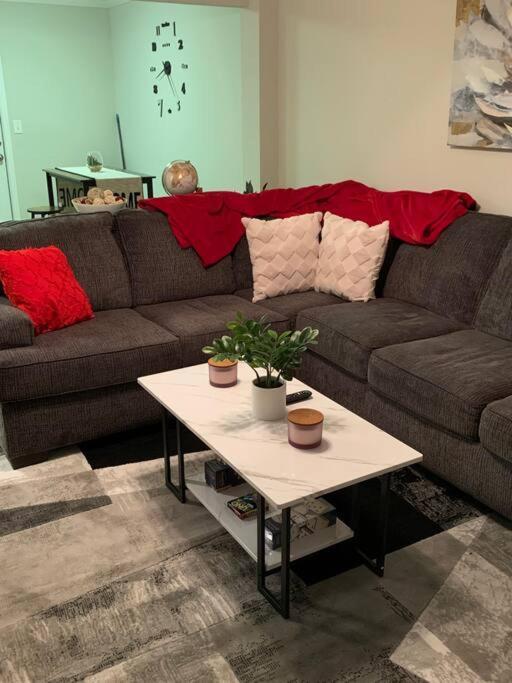 Apartment Good Vibe In The Heart Of Plaza/midwood Area *