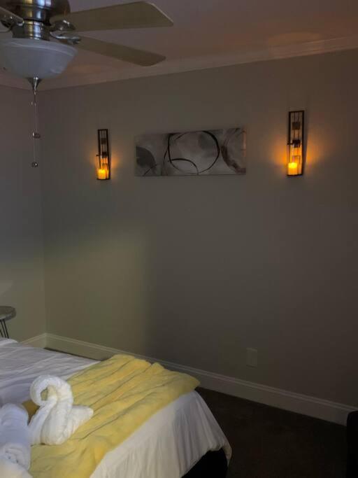 Good Vibe In The Heart Of Plaza/midwood Area Apartment