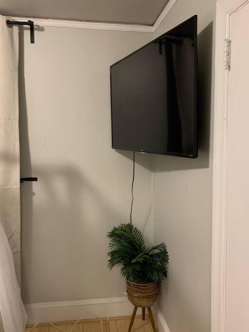 Be Our Guest Boho 2.0 Apartment Charlotte