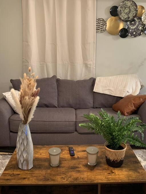 Be Our Guest Boho 2.0 Apartment Charlotte