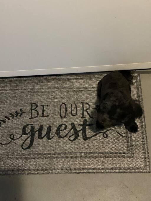 Be Our Guest Boho 2.0 Apartment Charlotte