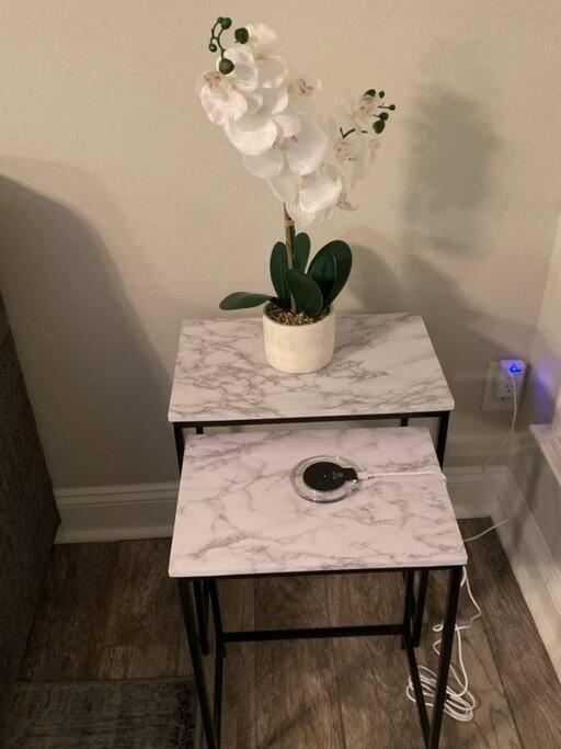 Good Vibe In The Heart Of Plaza/midwood Area Apartment Charlotte
