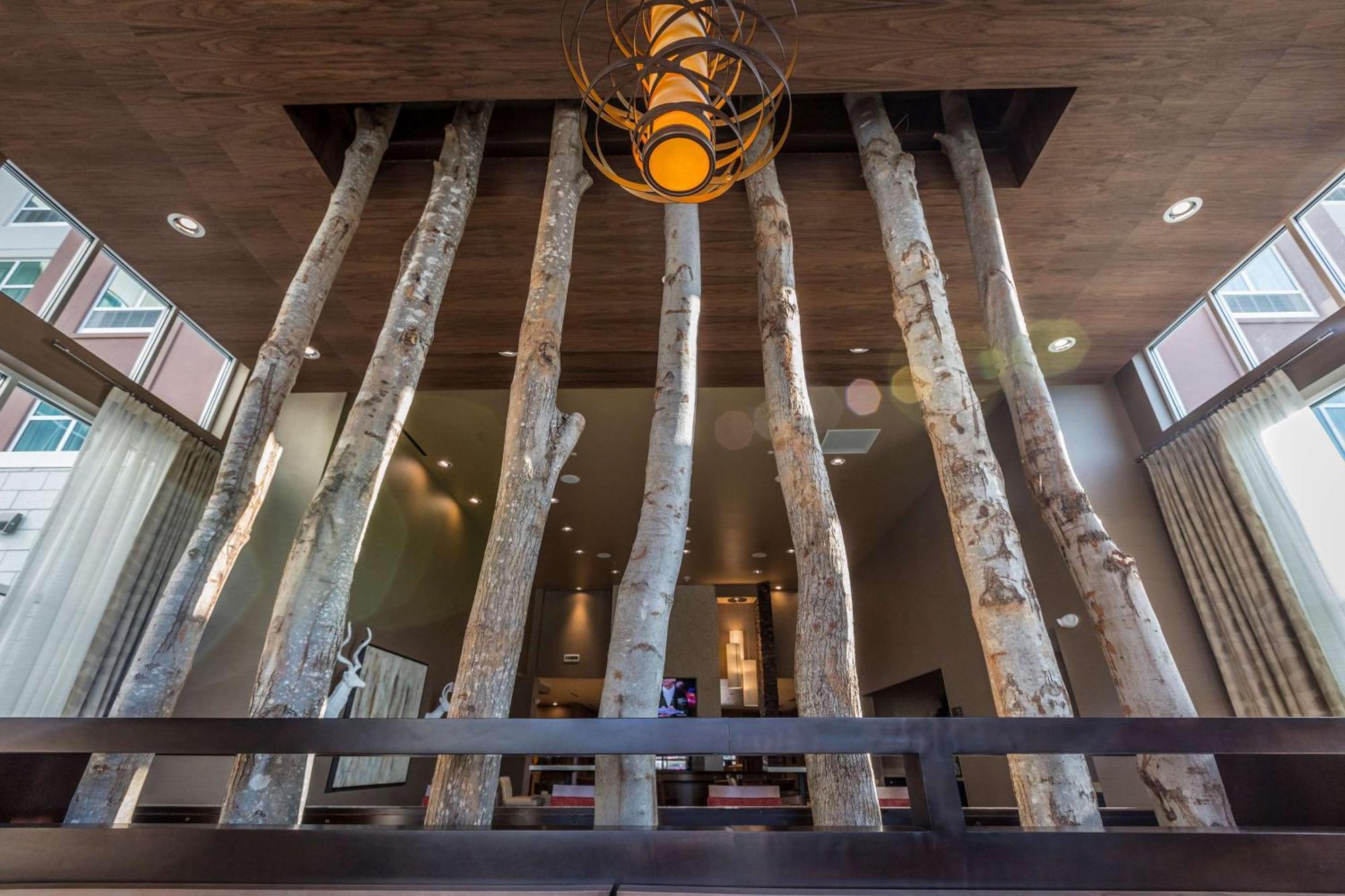 Homewood By Hilton Ballantyne, Nc 3* Charlotte