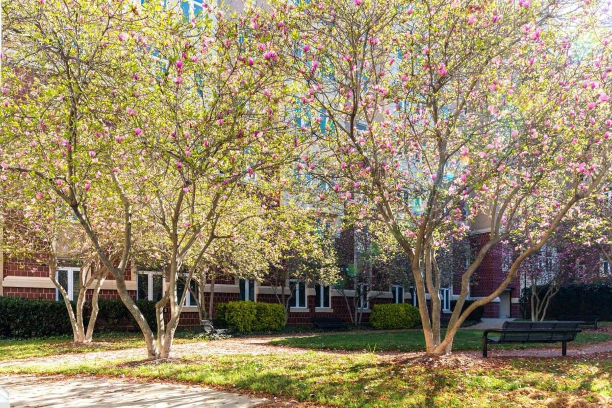 3br Premium Downtown With Office & Gym *