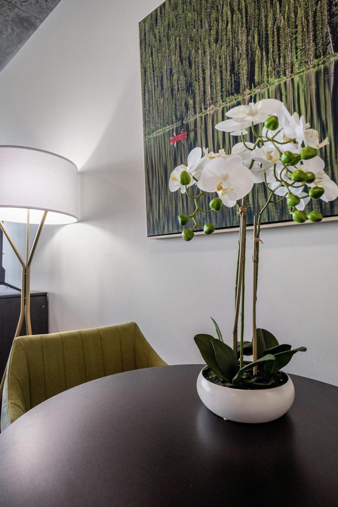 Luxurious Uptown Apartments In Charlotte North Carolina
