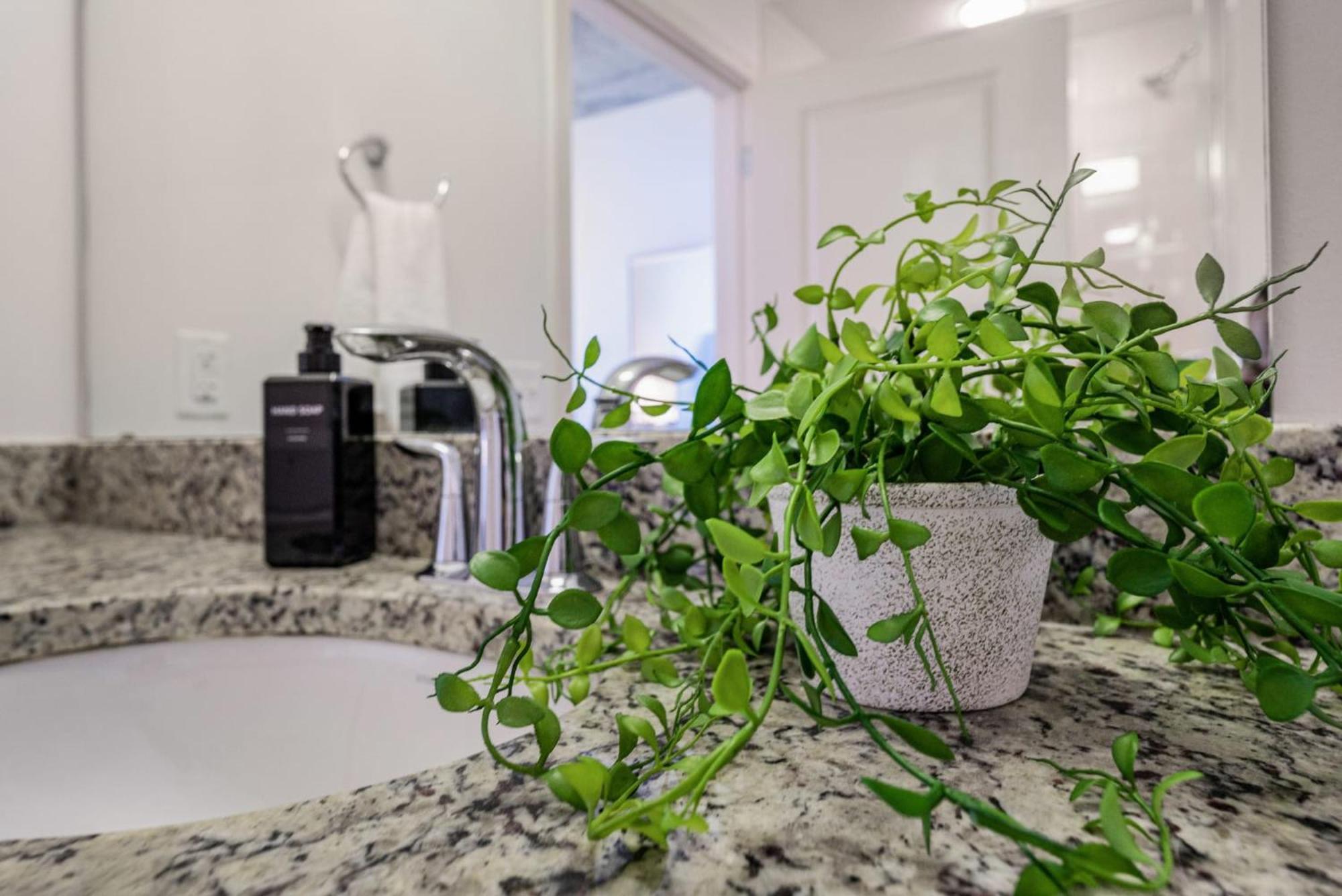 Luxurious Uptown Apartments In Charlotte North Carolina * Charlotte