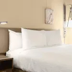 Hilton Garden Inn Charlotte Southpark