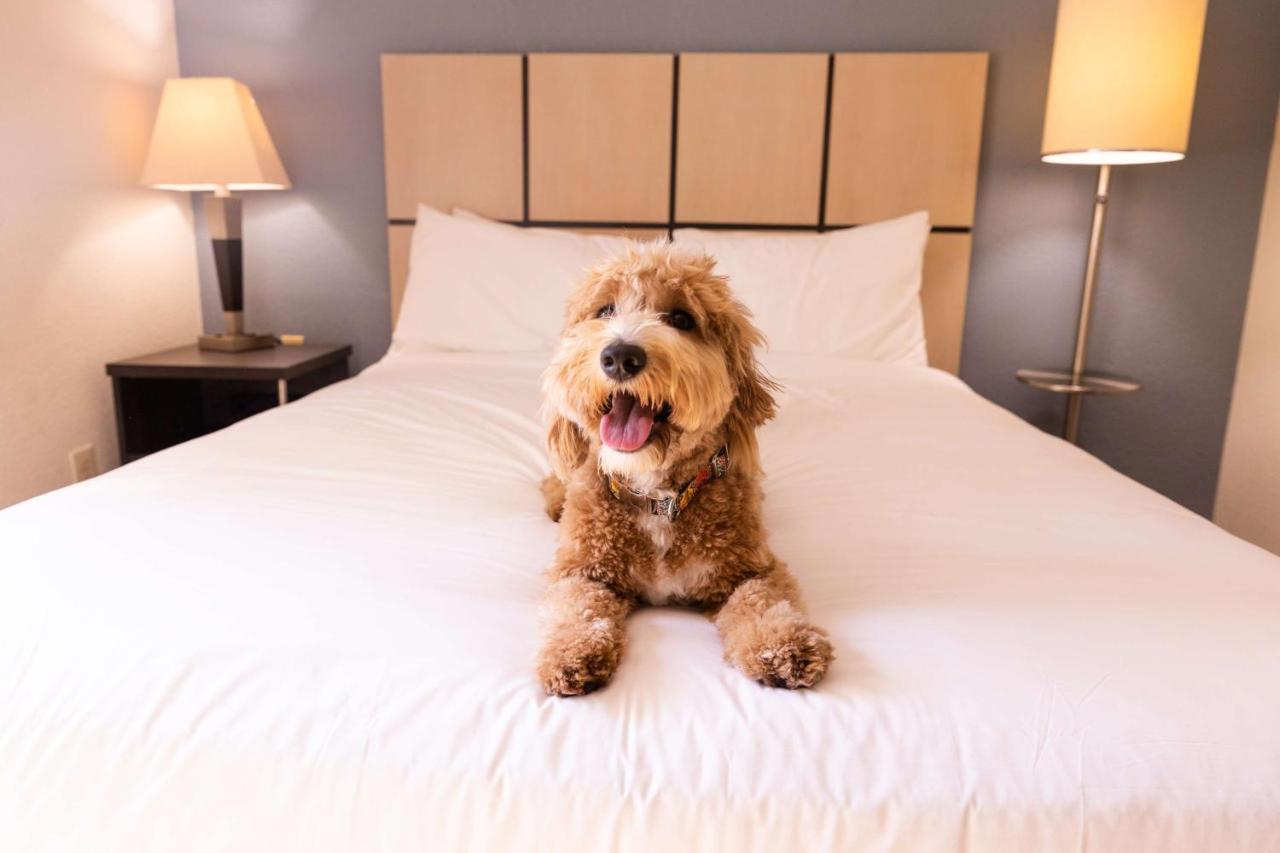 Hotel Sonesta Simply Charlotte