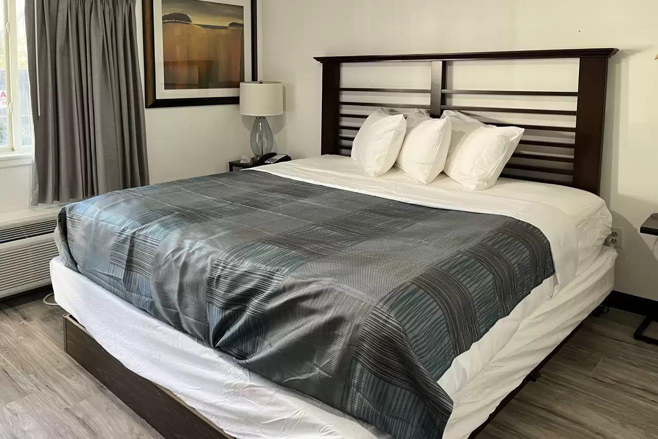 Rodeway Inn Charlotte