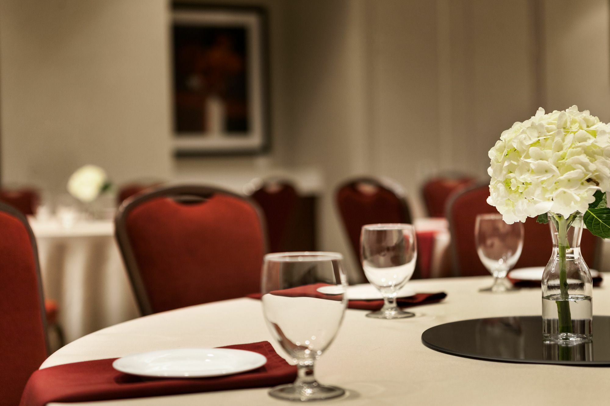 Hilton Garden Southpark