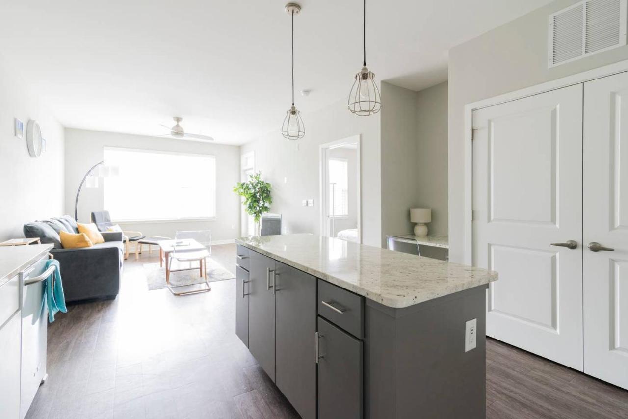 1br - Pool & Full Kitchen - Near Uptown & Airport Apartment Charlotte