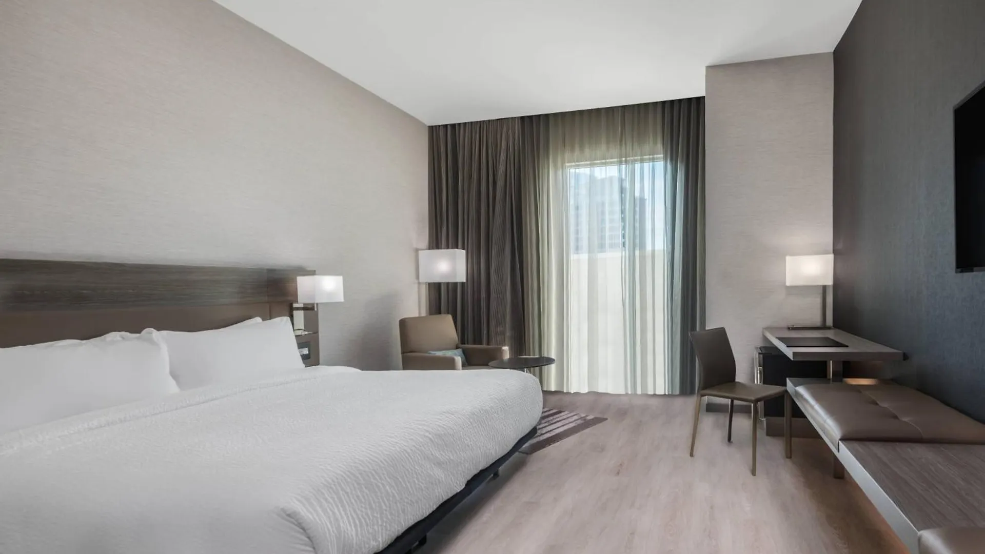 Expert Picks for Top Hotels in Downtown Charlotte